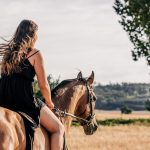 Ridning och vinprovning i Frankrike
